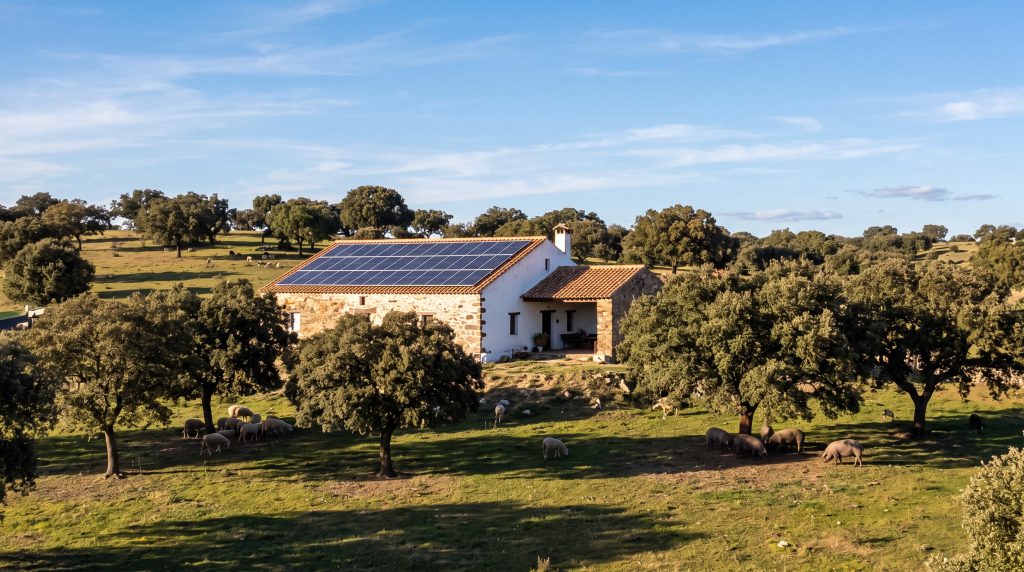 ayudas-extremadura-dehesa